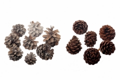 202 Dekorativne šišarke